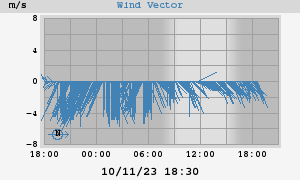 Wind Vector